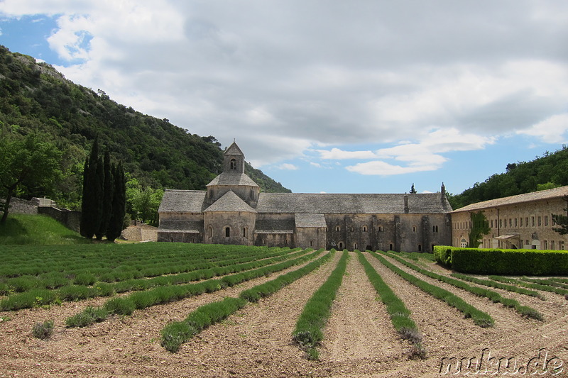 Abbaye Notre-Dame de Senanque - Kloster im Naturpark Luberon, Frankreich