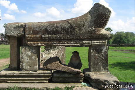 can advil sinus affect a menstrual cycle