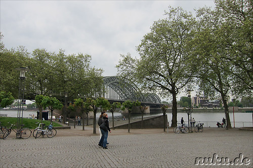 Am Rheinufer in Koeln
