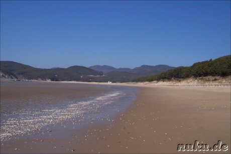 Am Strand