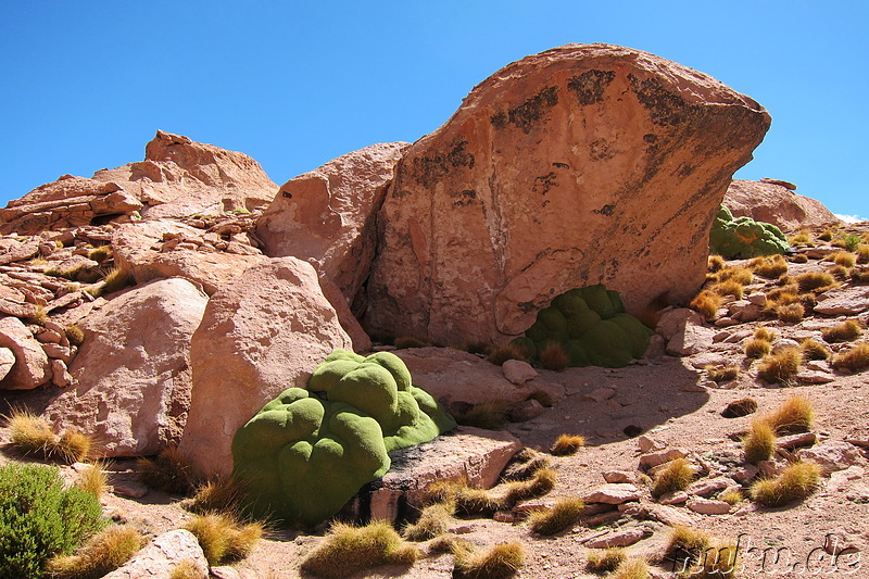 Am T-Rex-Rock, Bolivien