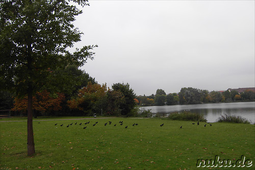 Am Woehrder See in Nuernberg