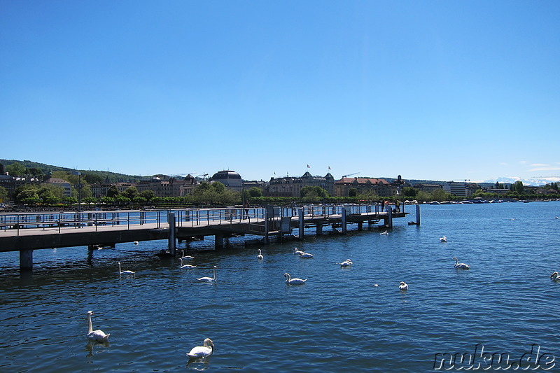 Am Zürichsee in Zürich, Schweiz