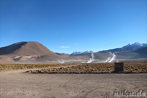 Anfahrt zum Machuca Village in der Atacamawueste, Chile