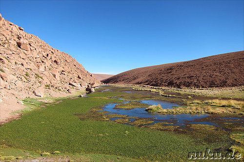 Anfahrt zum Machuca Village in der Atacamawueste, Chile
