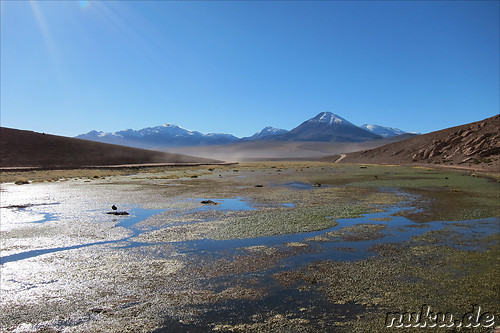 Anfahrt zum Machuca Village in der Atacamawueste, Chile