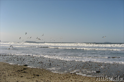 Anmyeondo
