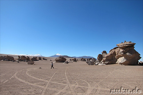 Arbol de Piedra, Bolivien