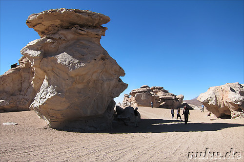 Arbol de Piedra, Bolivien