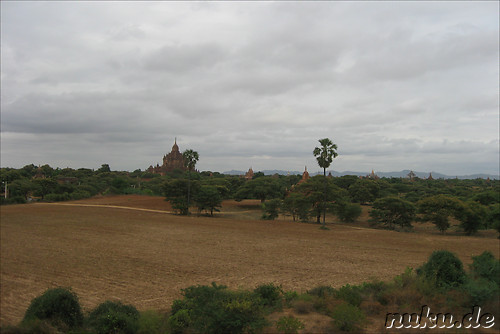 Ausblick vom Dach des Tha Gyar Hit - Tempel in Bagan, Myanmar