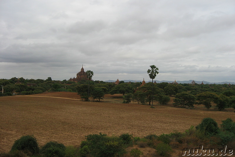 Ausblick vom Dach des Tha Gyar Hit - Tempel in Bagan, Myanmar