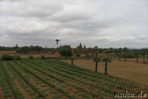 Ausblick vom Khay Min Gha - Tempel in Bagan, Myanmar/