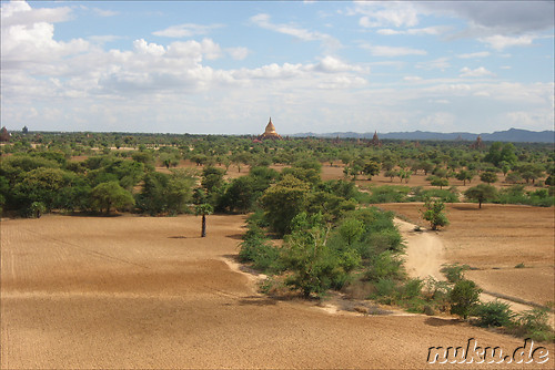 Ausblick vom Pyathada Paya - Tempel in Bagan, Myanmar