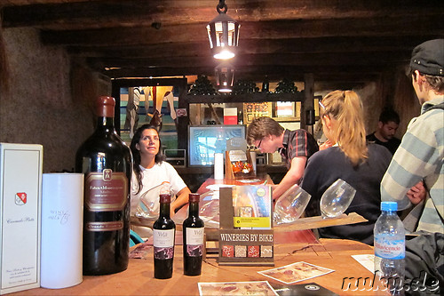 Baccus Vineyards Biking in Chacras de Coria, Argentinien