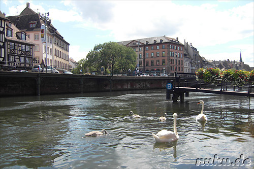 Batorama Boat Trip auf der Ill in Strasbourg, Frankreich