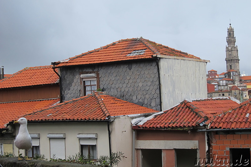 Blick über die Dächer von Porto, Portugal