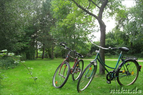 Buergerpark in Braunschweig