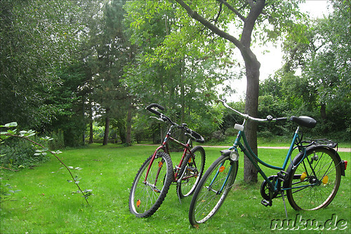 Buergerpark in Braunschweig