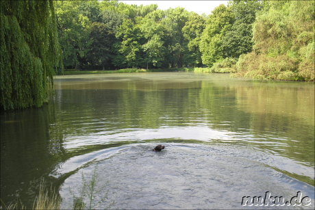 Buergerpark in Braunschweig
