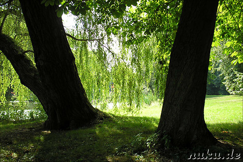 Buergerpark in Braunschweig