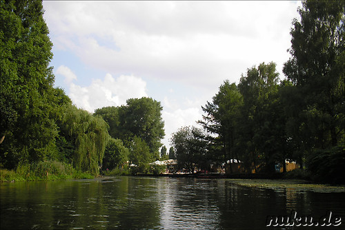 Buergerpark in Braunschweig