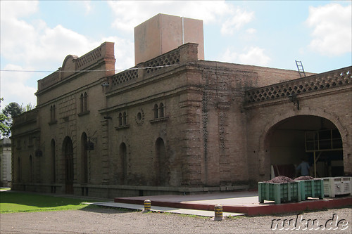 Cavas de Weinert in Chacras de Coria, Argentinien