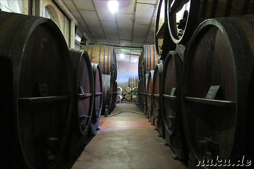 Cavas de Weinert in Chacras de Coria, Argentinien