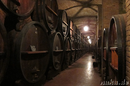 Cavas de Weinert in Chacras de Coria, Argentinien