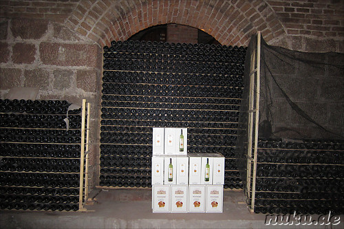 Cavas de Weinert in Chacras de Coria, Argentinien
