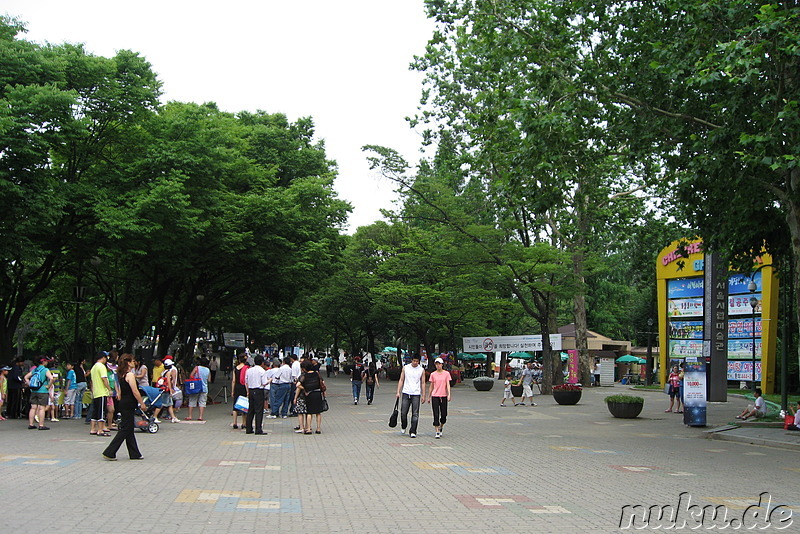 Children's Grand Park, Seoul