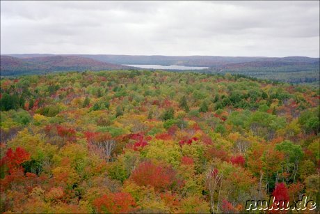 colourful view, algonquin park, ontario
