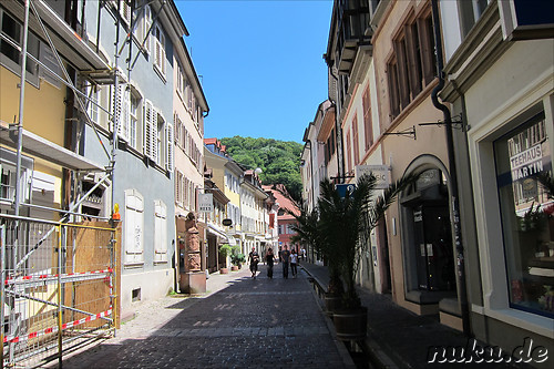 Die Freiburger Innenstadt
