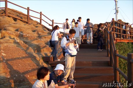 Die koreanischen Touristen...