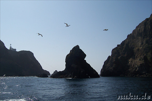 Dokdo