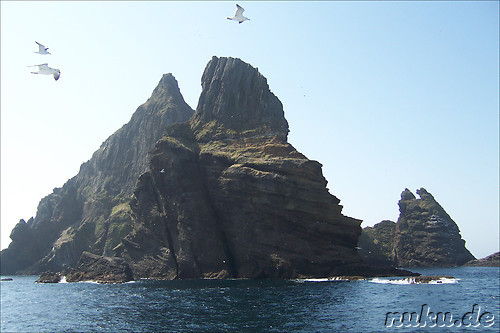 Dokdo