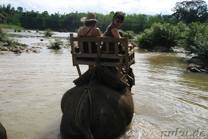 Durchs Wasser von Elefanten getragen...