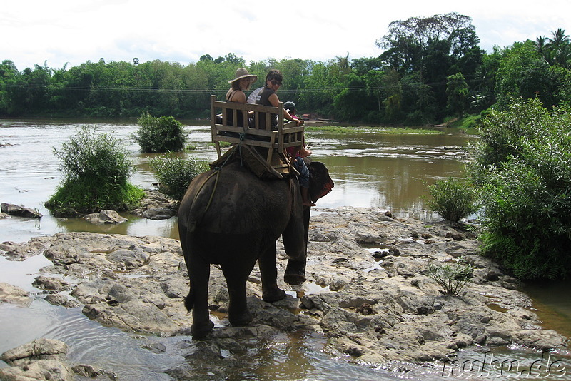 Durchs Wasser von Elefanten getragen...