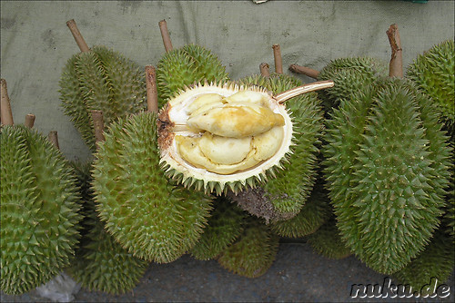 Durian - Stinkfrucht bzw. Kaesefrucht