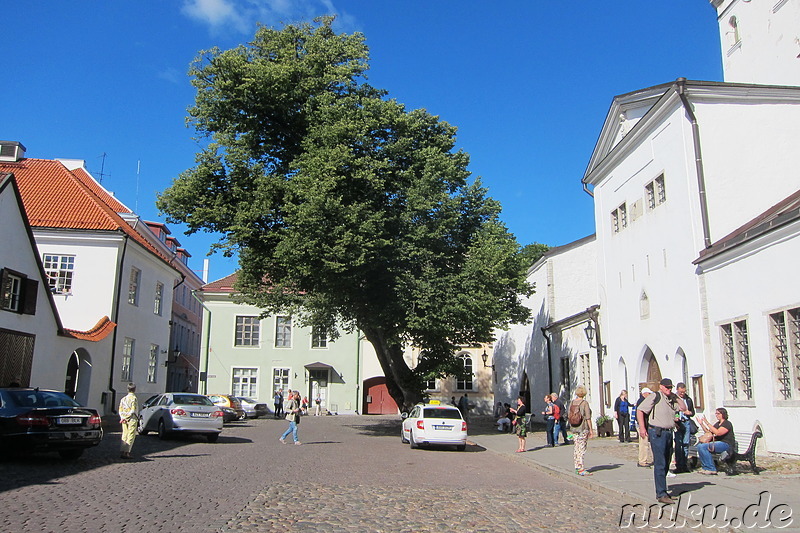 Eindrücke aus der Altstadt von Tallinn, Estland