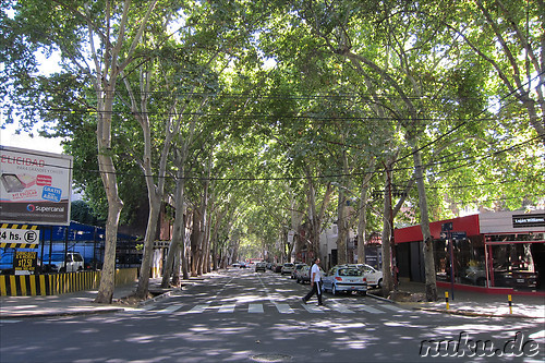 Eindruecke aus Mendoza, Argentinien