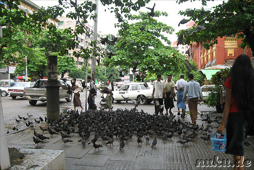 Eindruecke aus Yangon, Myanmar (Rangun, Burma)