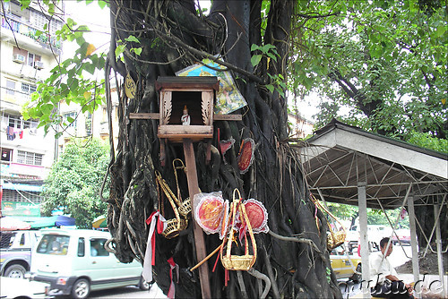 Eindruecke aus Yangon, Myanmar (Rangun, Burma)