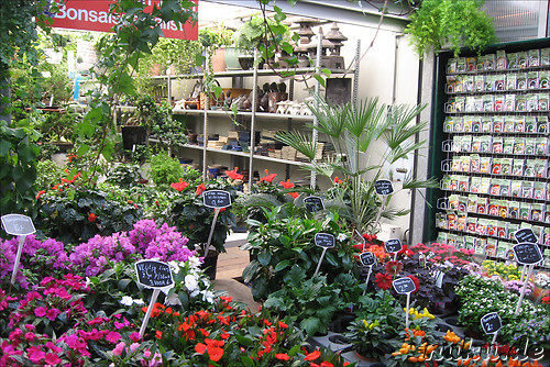 Eines von Amsterdams zahlreichen Blumengeschaeften...