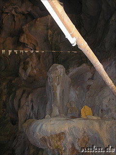 Elefant