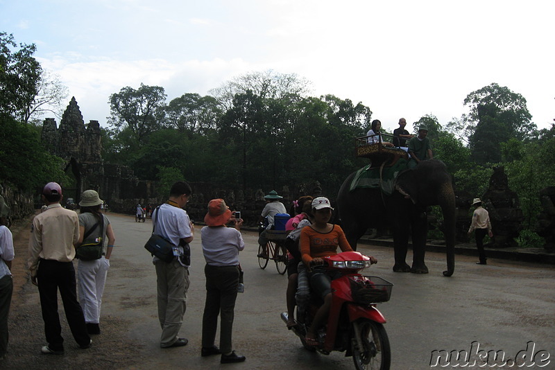 Elefanten am Angkor Thom South Gate