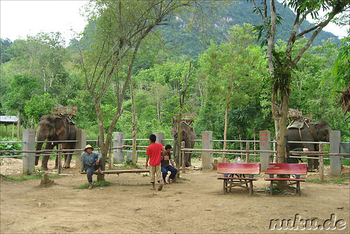 Elefantencamp in der Naehe von Luang Prabang