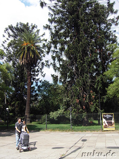 Erkundungstour durch Palermo und SoHo, Buenos Aires, Argentinien