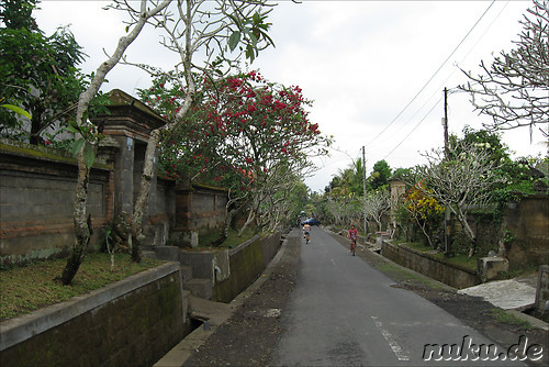 Fahrradtour auf Bali, Indonesien