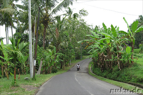 Fahrradtour auf Bali, Indonesien