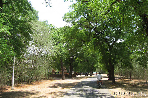 Fahrradtour in Bagan, Myanmar